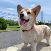 関西万博行ってきたよ　その5