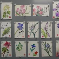 2024年5月期の絵手紙教室～春の花・野菜を描く～