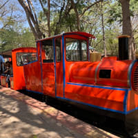 南インドの旅（その65）；鉄道博物館