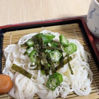 今日の蝶は