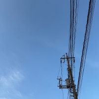 2025/06/28