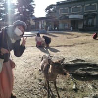 帰省の合間に小旅行