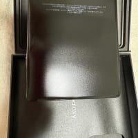 折りたたみスマホにしてみた