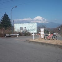 相変わらず写真の撮り方が下手。（笑）