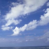 豪華客船が…
