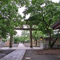 裏から見ると>高麗神社の鳥居から