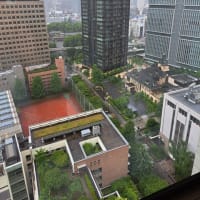 朝の麹町界隈で