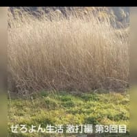 ぜろよん生活 激打編 第3回目