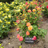 平和公園に行って来た