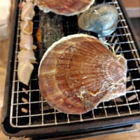 孫と磯村水産でランチ