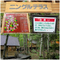 観光のお仕事❣️340