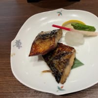 12登別温泉　滝乃家別館玉乃湯　Noboribetsu onsen Takinoya bekkan Tamanoyu