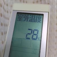 もう夏だよ～…