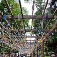 お久しぶりです。伊佐須美神社のあやめ祭り