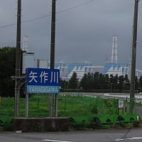 久し振りに頭からびしょ濡れ