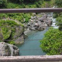 【午前】鳩ノ巣・白丸散策　　　　　　 【午後】ベーキャン飯能