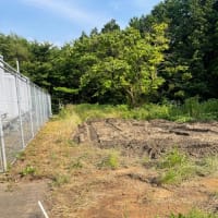 整地と除草作業