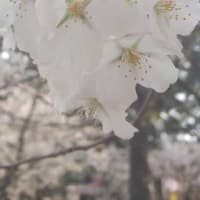 妄想デート