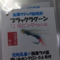 鮎毛バリ新型デザイン「ブラックラグーンシリーズ」釣れてます。