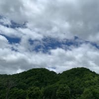 自然に癒され