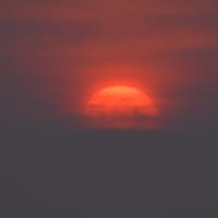 の～んびり投稿します、、、（枚数多いし、、、）（汗）