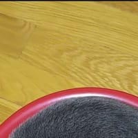 赤い彗星の洗面器