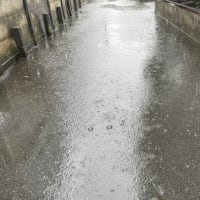 荒梅雨
