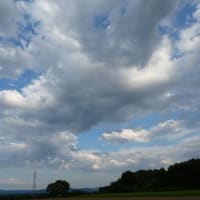 【石破首相】参院選の情勢調査で自公過半数割れで退陣必至！情勢調査で酷い数字が出た？「必達目標」発言で墓穴を掘る！( ｀ー´)ノ