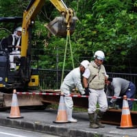【拡散願います】【補足】二見入り口から第4ゲートへー座り込み後に野鳥の遺体と遭遇（20250530ー①）