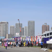 日本初の公道レース 東京E-Prix 2024