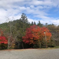 紅葉を愛でながら？のグランドゴルフ