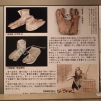 行田を散策