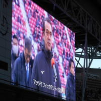 マテウス ドス サントス カストロ加入 赤鯱にこんがらがって マテウス ドス サントス カストロ加入 赤鯱にこんがらがって