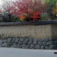 06/16奈良京都への旅-3（唐招提寺）