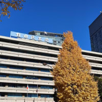 【ジリ貧でしたがいいところも】石原伸晃氏