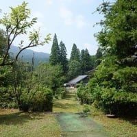 「犬猿の仲」の二人。