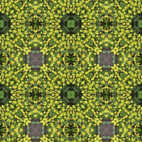 あっという間に金曜日