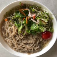 疑問集．２１３　インスタント硬麺の冷麺