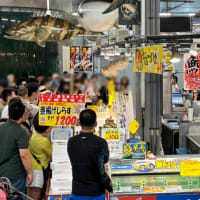 高野龍神スカイラインから南紀白浜　　2025.7.6