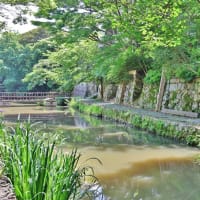 近江八幡を訪ねるー１！・・・八幡堀