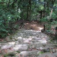 2025.6.26.　 2025年6月5回目極楽寺・極楽寺山・屋代コーストレッキングと蛇の池は満開のスイレン