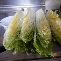 白菜と小梅漬けました