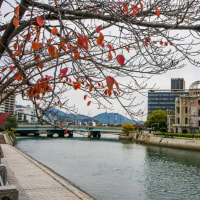 理想主義者で貫こう