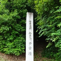 明日香村・吉野へ