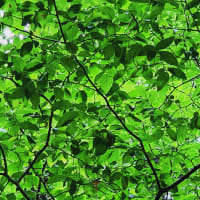 ある時代との対話④
