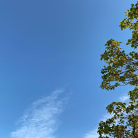 2021年4月22日　育てていただく