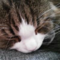 寒くなってきましたね