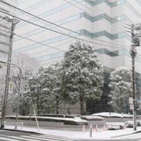 20220106東京下町にも雪