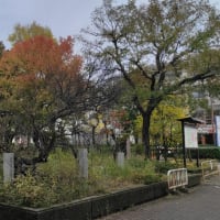 2024（令和6）年12月10日（火）晴れ、時々曇り。#「樋口陽一憲法学批判」