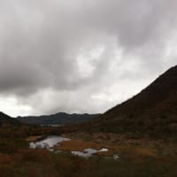 標高1360m